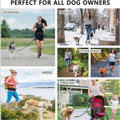 Hands Free Dog Leash