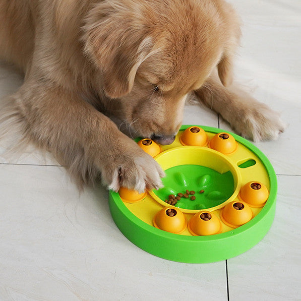 IQ BOOSTING INTERACTIVE PUZZLE FOOD FEEDER - Pet it