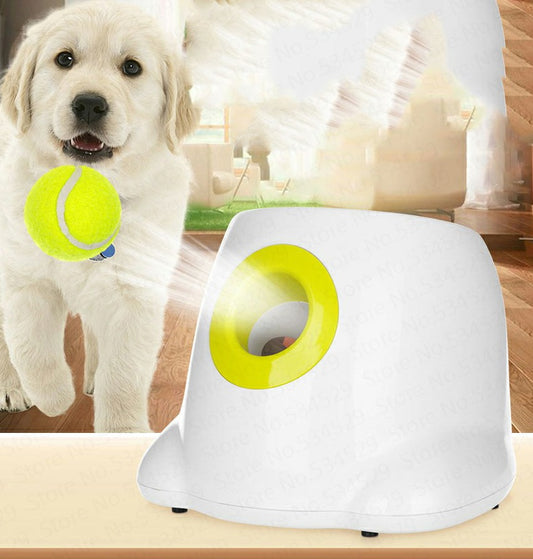 Automatic Interactive Ball Launcher - Pet it