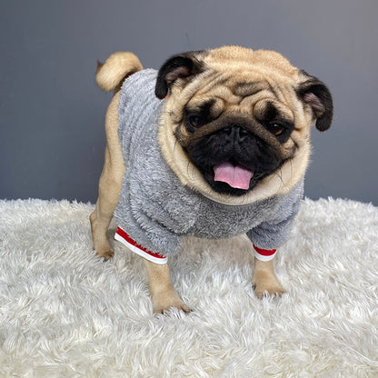 Pet Sweater