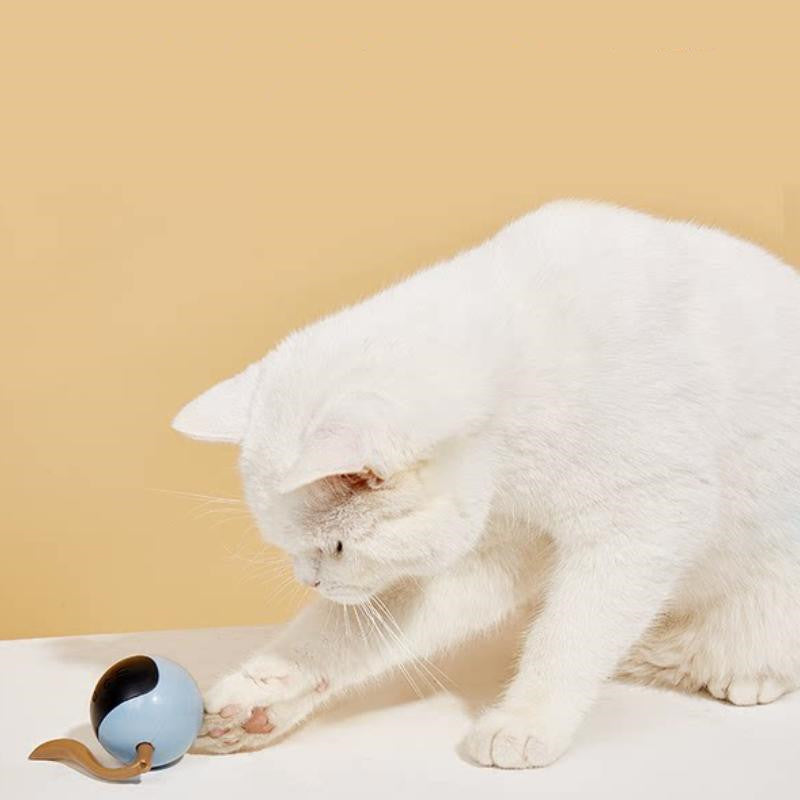 USB RECHARGEABLE INTERACTIVE TOY BALL - Pet it