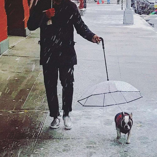 Transparent Umbrella For Pets - Pet it