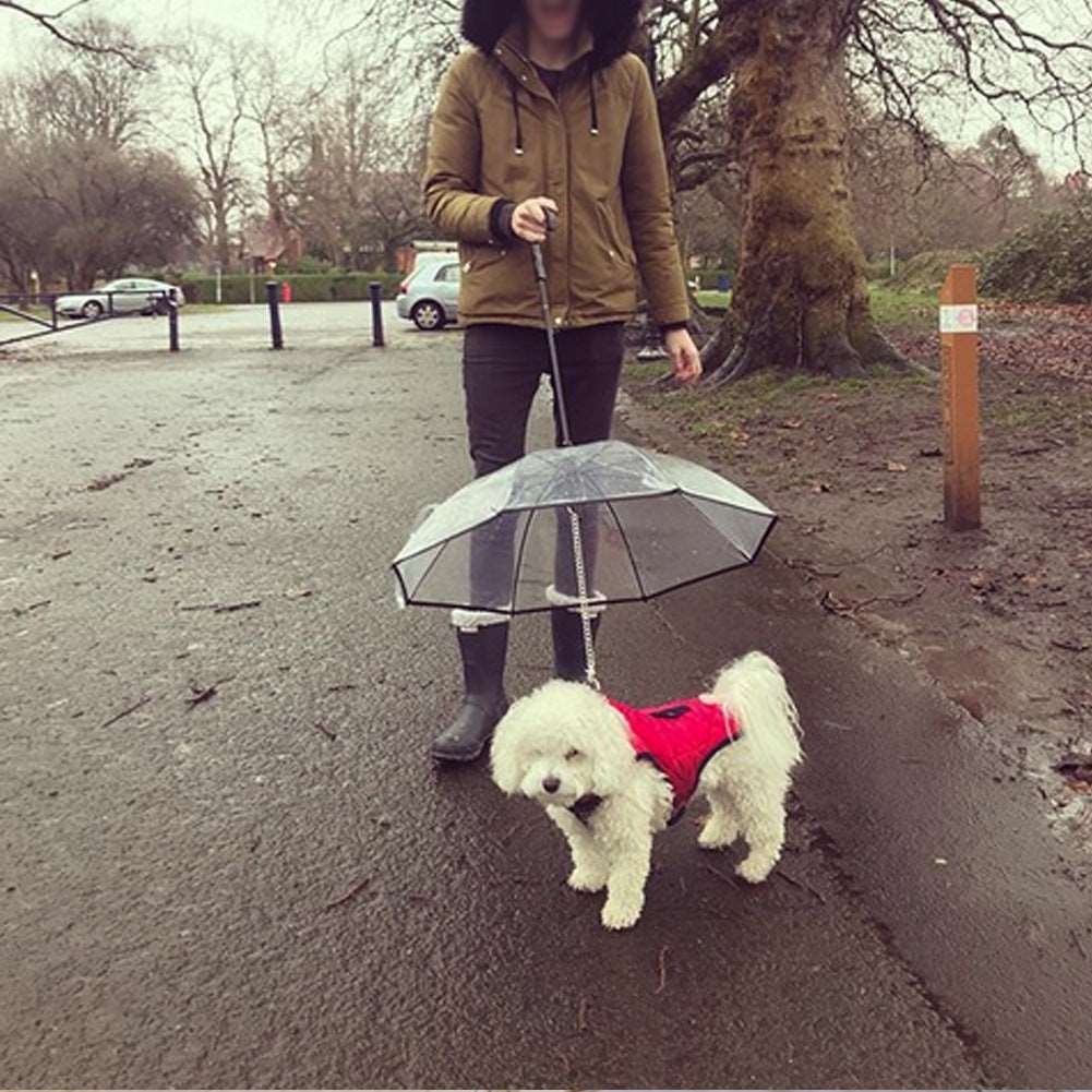 Transparent Umbrella For Pets - Pet it