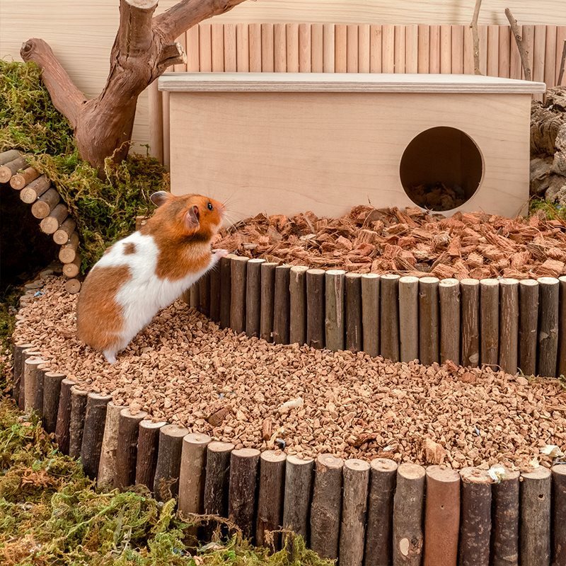 Oak Cork Digging Dust-free Bedding Hamster ##