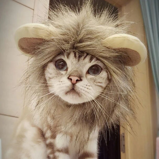 Funny Lion Cosplay Costume Wig for Cats & Small Dogs ##