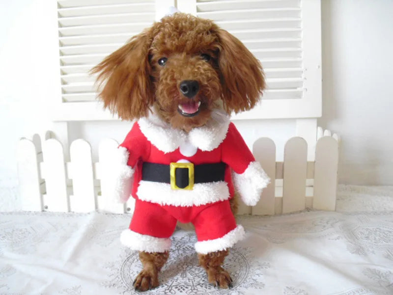 Christmas Dog Costume For Small Dogs Cat Funny Santa Claus Cosplay Clothes Puppy Jumpsuit Chihuahua Yorkshire Pet Supplies Party