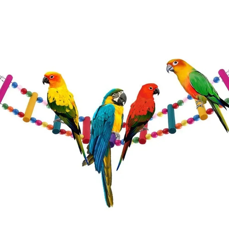 Bird Toys Set for Small Parrots ##