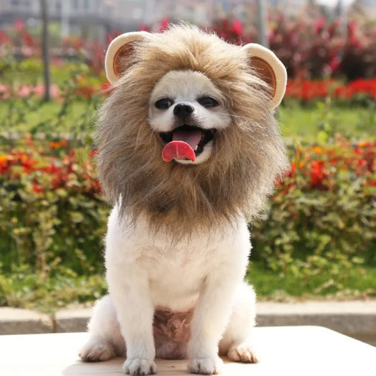 Lion Mane Costume Hat – Adorable Cosplay Wig for Cats & Small Dogs ##