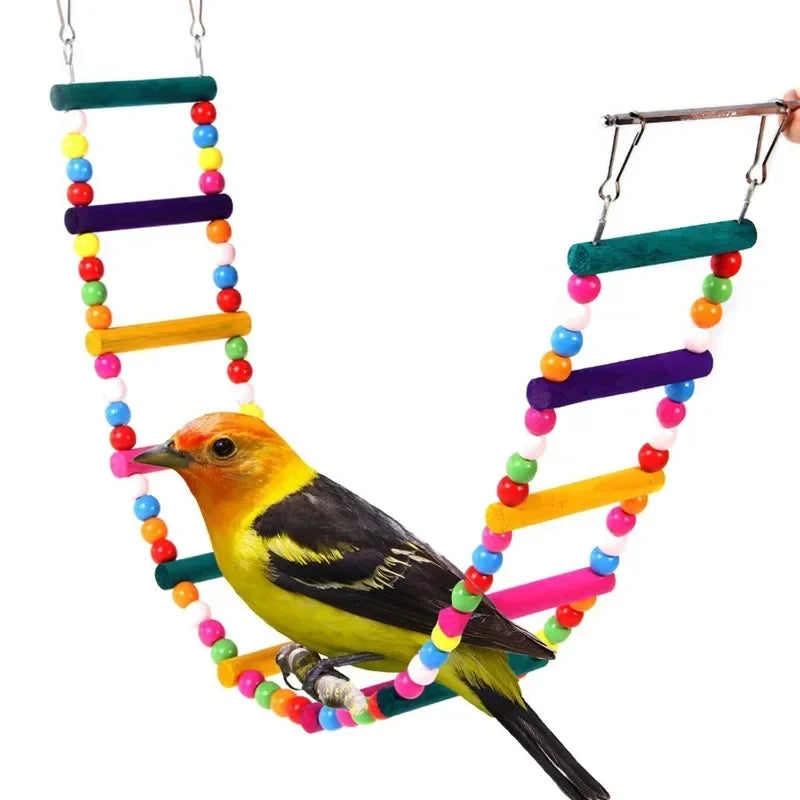 Bird Toys Set for Small Parrots ##