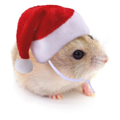 Festive Soft Cloth Christmas Cap for Small Pets – Cute Holiday Hat for Hamsters, Guinea Pigs, Rabbits & More ##