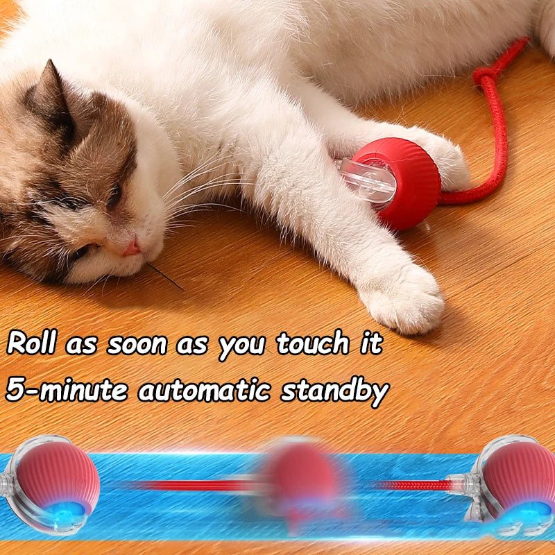 Cat  Automatic Rolling Interactive Ball Toy🎅🌟