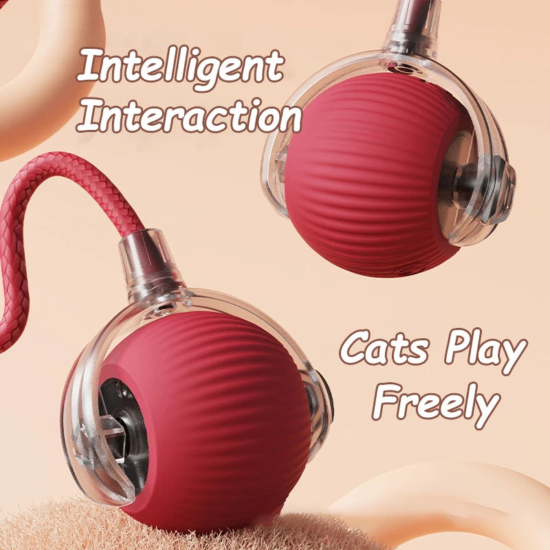 Cat  Automatic Rolling Interactive Ball Toy🎅🌟