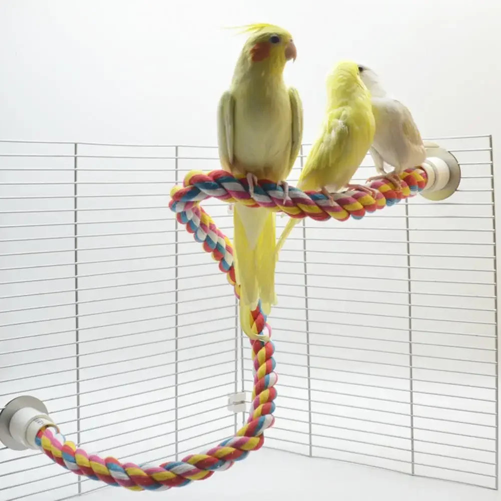 Colorful Braided Parrot Rope Ladder Swing ##