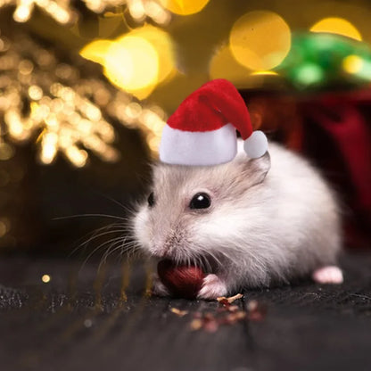 Christmas Hat for Small Pets, Hamsters, Guinea Pigs and Sugar Glider ##