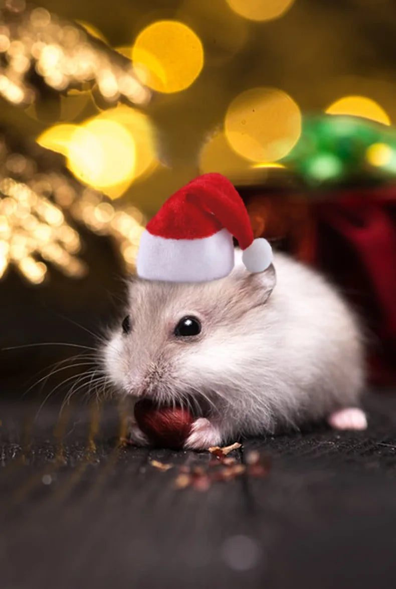 Christmas Hat for Small Pets, Hamsters, Guinea Pigs and Sugar Glider ##