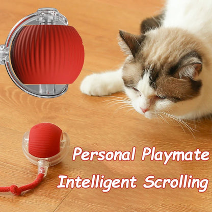 Cat  Automatic Rolling Interactive Ball Toy🎅🌟