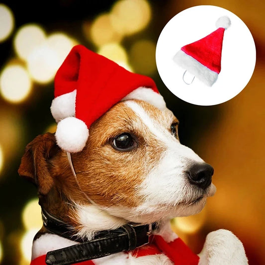 Festive Santa Hat for Pets – Christmas & New Year Costume for Small Dogs ##