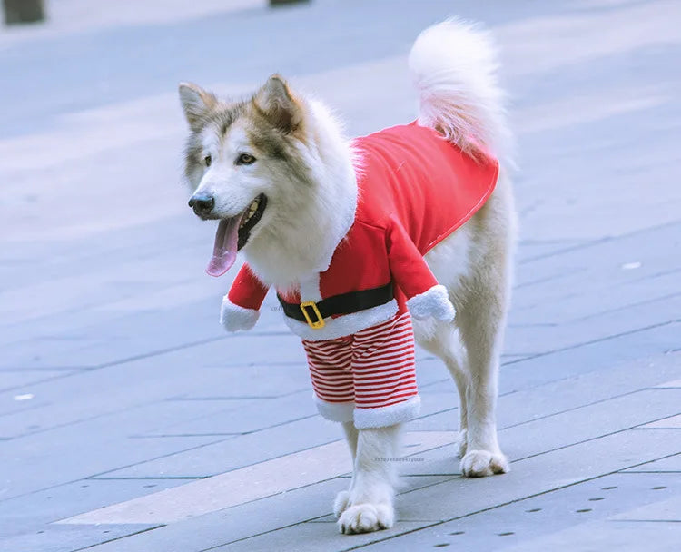 Winter Christmas Dogs Costumes Funny Santa Claus Clothes For Small Medium Pet Xmas New Year Clothing Cat Kitten Outfits