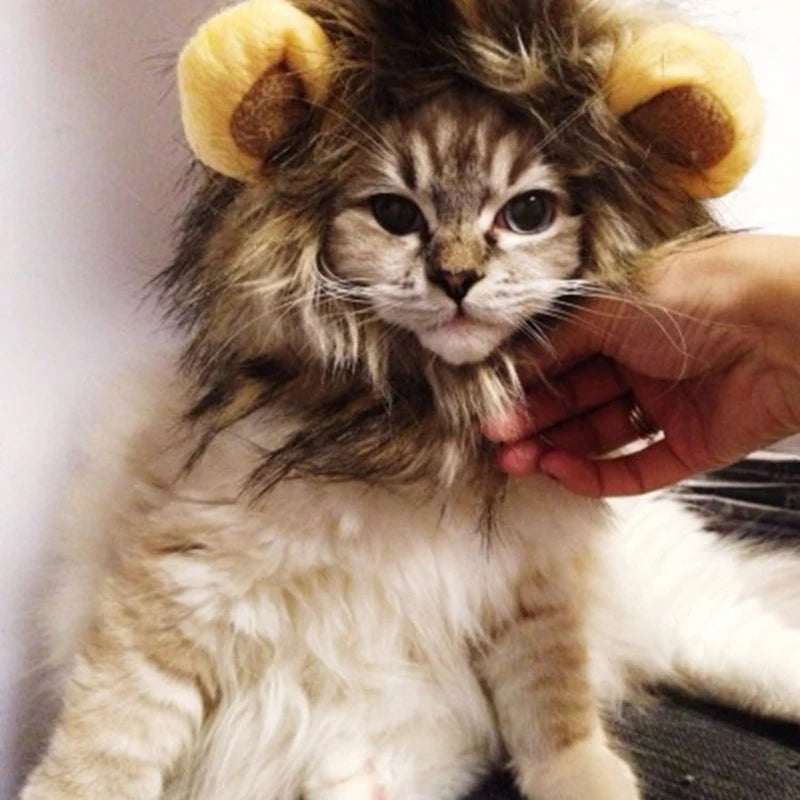 Funny Lion Cosplay Costume Wig for Cats & Small Dogs ##