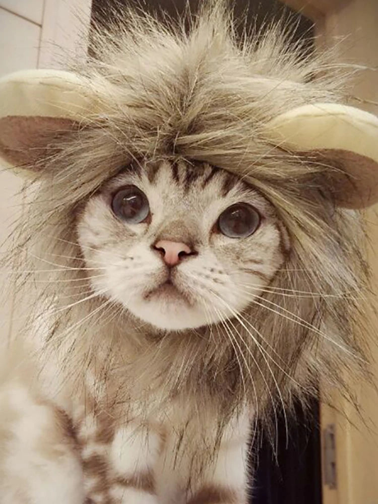 Funny Lion Cosplay Costume Wig for Cats & Small Dogs ##