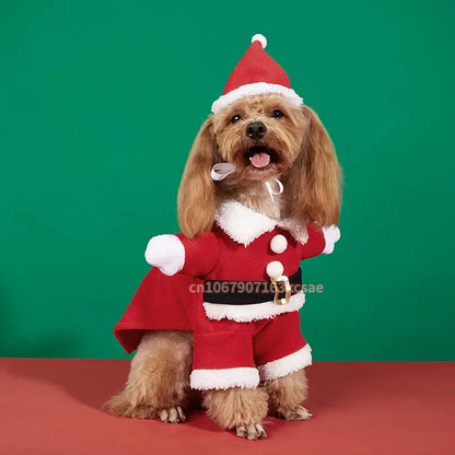 Santa Paws Holiday Costume – Cozy Christmas Outfit with Cap for Dogs & Cats ##