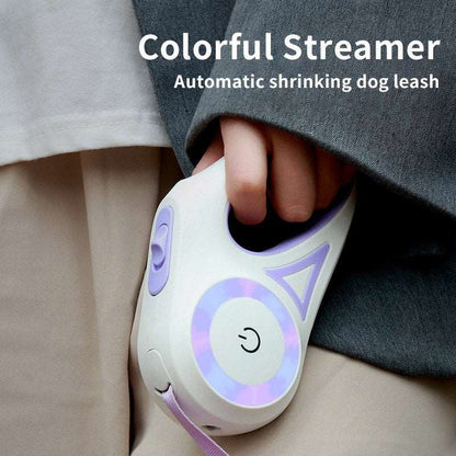 Dog Retractable Collar Spotlight - Pet it