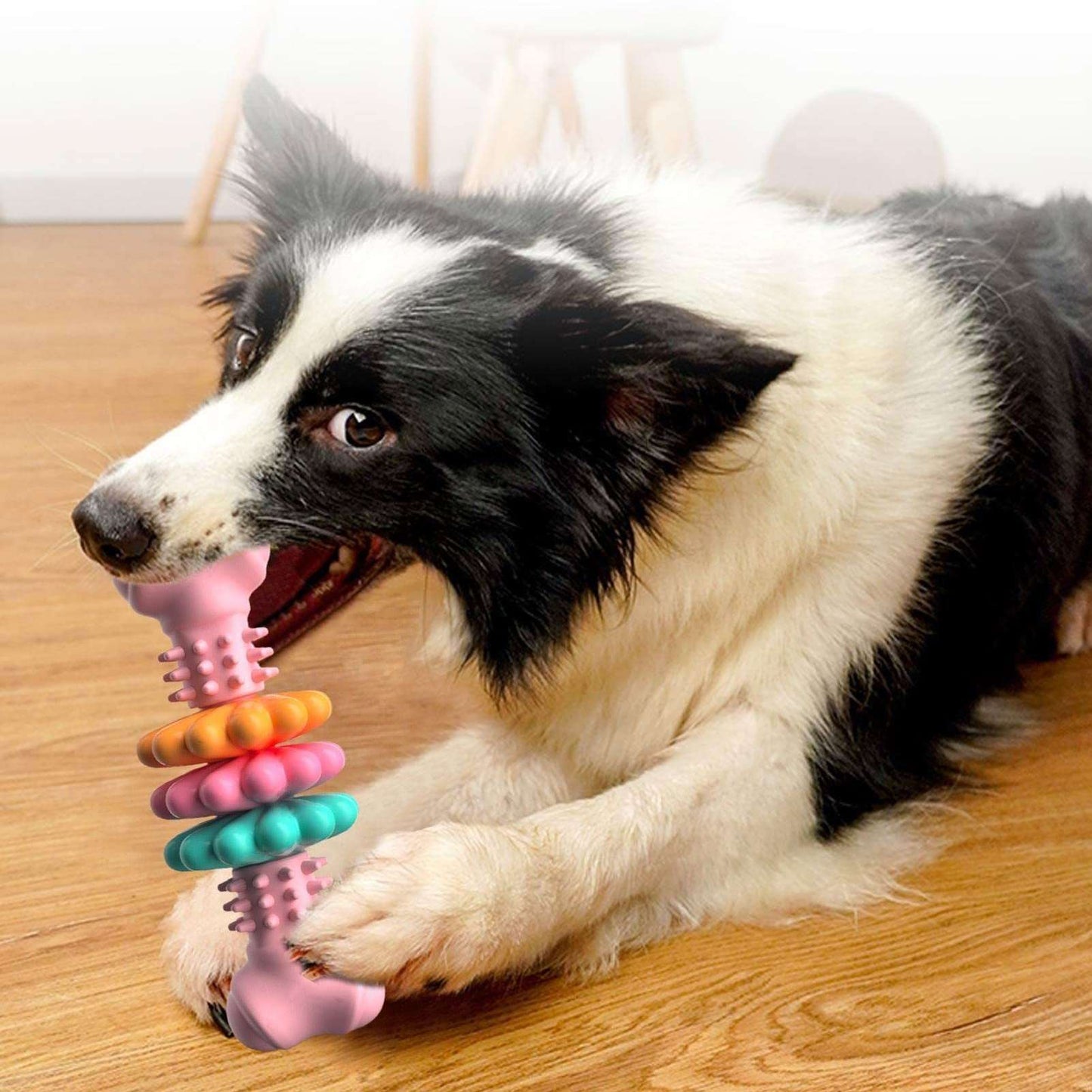 Indestructible Dog Chew Toy - Pet it