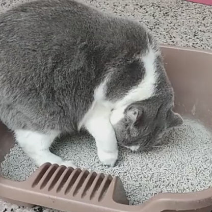 Pet Litter Shovel Scoop for Cat