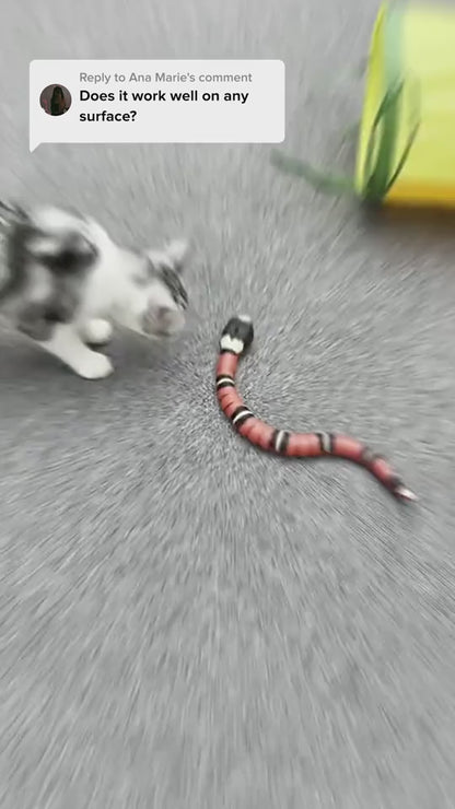 USB Smart Sense Pet Interactive Snake Toy